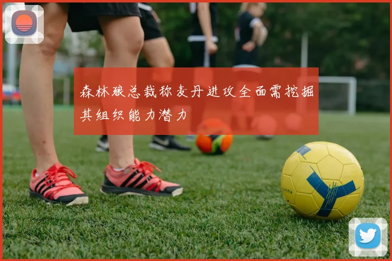 森林狼总裁称麦丹进攻全面需挖掘其组织能力潜力