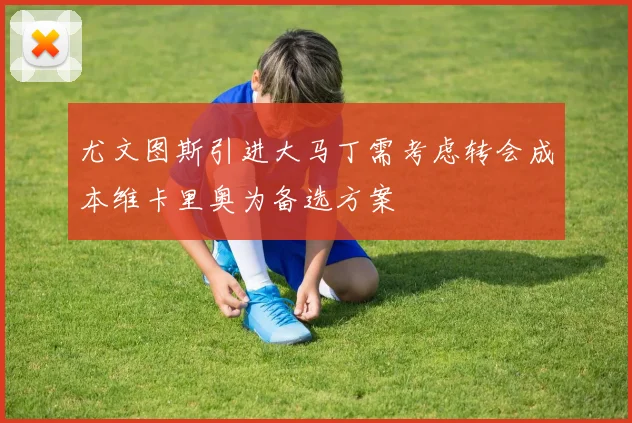 尤文图斯引进大马丁需考虑转会成本维卡里奥为备选方案