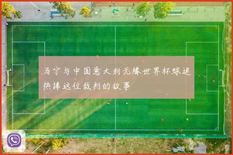 马宁与中国意大利无缘世界杯球迷热捧这位裁判的故事